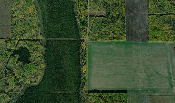 Satellite view of SW-16-67-21-W5 in Municipal District of Greenview No. 16, with the parcel boundary outlined
