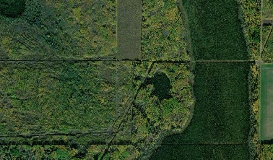 Satellite view of SE-17-67-21-W5 in Municipal District of Greenview No. 16, with the parcel boundary outlined
