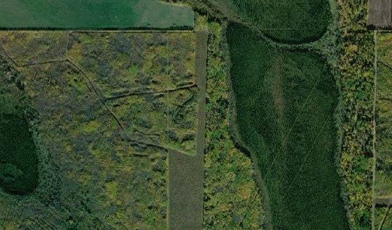 Satellite view of NE-17-67-21-W5 in Municipal District of Greenview No. 16, with the parcel boundary outlined