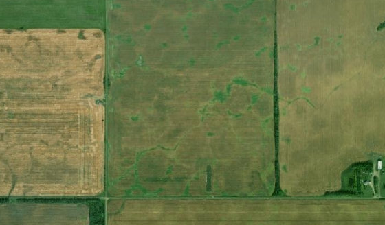 Satellite view of SW-14-79-1-W6 in Birch Hills County, with the parcel boundary outlined