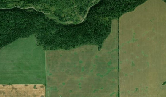 Satellite view of NW-14-79-1-W6 in Birch Hills County, with the parcel boundary outlined